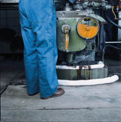 Sorbents for Oil