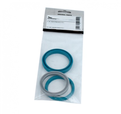 Lower Seals Kit 22441, 22451